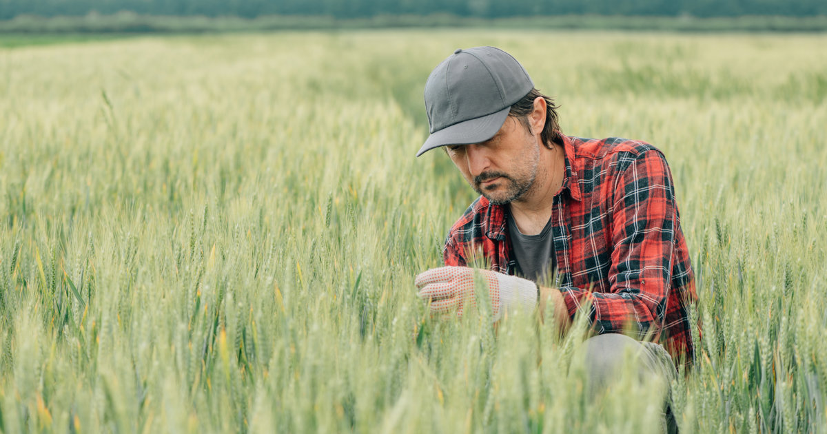 Investments explained the future APG